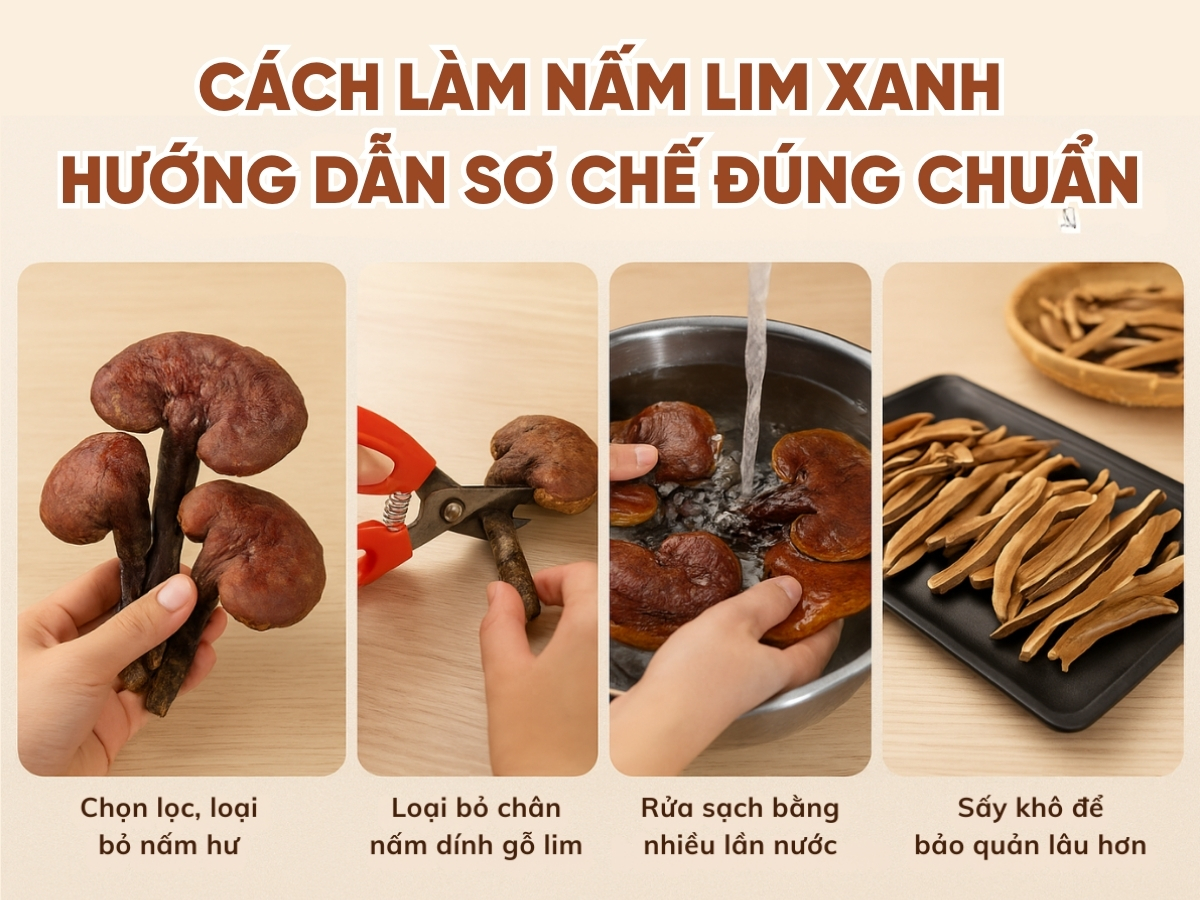 C&aacute;ch l&agrave;m nấm Lim Xanh